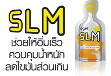 03.SLM