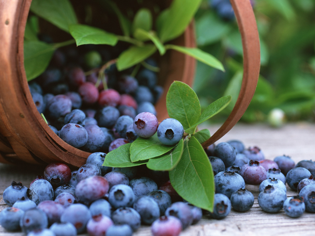 agel-see-bilberry