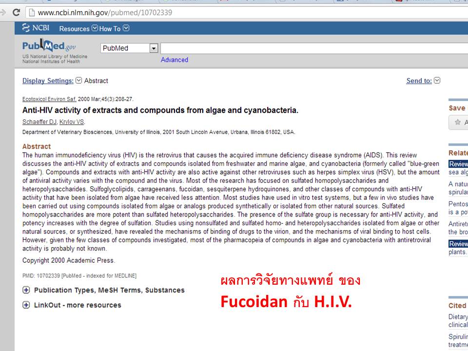 aids-hiv-cd4-agel-umi-เพิ่ม-อาหารเสริม-คัน-เอดส์-แพ้ยาต้าน-เพิ่มภูมิ-ทานอะไรดี-ซื้อเอง-ออฟฟิศ-กรุงเทพ-ราคาสมาชิก-สมัคร
