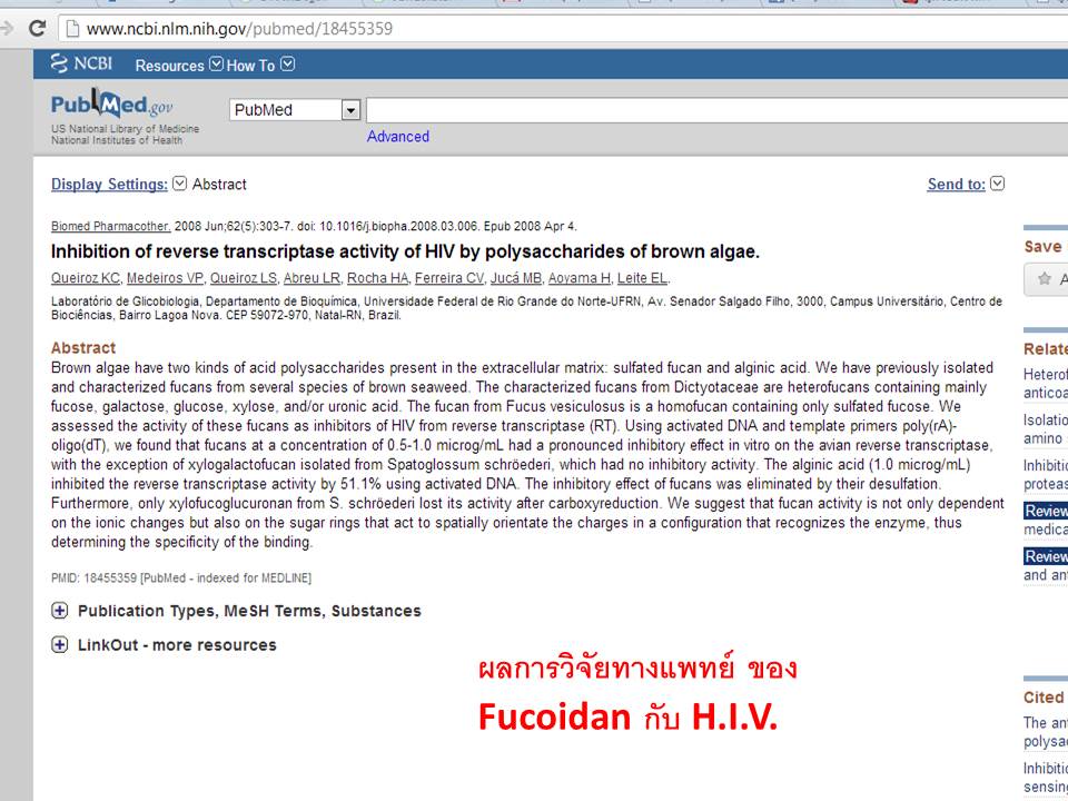 aids-hiv-cd4-agel-umi-เพิ่ม-อาหารเสริม-คัน-เอดส์-แพ้ยาต้าน-เพิ่มภูมิ-ทานอะไรดี-ซื้อเอง-ออฟฟิศ-กรุงเทพ-ราคาสมาชิก-สมัคร