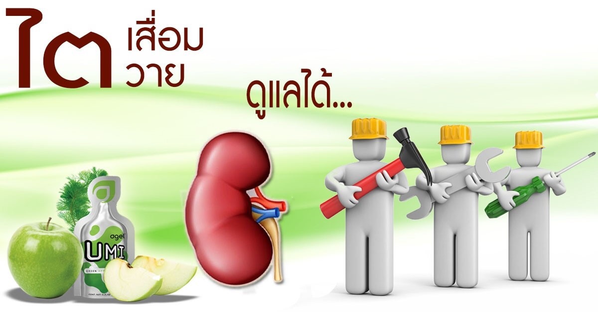 ไตเสื่อม-ยารักษาไต-อาหารเสริม-บำรุงไต-อาการ-โรคไต-หายได้ไหม-gelsociety-Kidney-Fucoidan-agel-umi-มะเร็ง-อาเจล-เอเจล-รักษา-ราคาถูก-ราคาสมาชิก-สมัครทำธุรกิจ-ไตเสื่อม-อูมิ-เบาหวาน-ajel-เบาหวาน-คีโม-เพิ่มเม็ดเลือดขาว-cea-กินข้าวไม่ได้-อาหารเสริม-เก๊าส์-umi-grn-agel-uric-acid-อาเจล-ข้อบวม-ยูริค-ยูริก-เก๊าท์-เก๊า-รักษา-ยังไง-หายไหม-อูมิ-อะไรดี-อาหารเสริม-เก๊าท์-ลดกรดยูริค-ปวดข้อ-ปวดเข่า-กรดยูริคสูง-umi-grn-agel-โรคเก๊าท์-ซื้อเอง-ออฟฟิศ-กรุงเทพ-ราคาสมาชิก-สมัคร-ตัวแทน-ทำธุรกิจ-แม่ทีม-ผู้นำระดับสูง-ไตเสื่อม-ไตวาย-ฟอกไต-ไตเรื้อรัง-กินอะไรดี-ผลไม้-ผัก-อาหารเสริม-อะไรดี-เอเจล-umi-agel-ไตเสื่อม-ยารักษาไต-อาหารเสริม-บำรุงไต-อาการ-โรคไต-หายได้ไหม-อาการ-โรคไต-รักษาได้ไหม-รักษาหายไหม-ยารักษาโรคไต-umi-เห็ดหลินจือแดง
