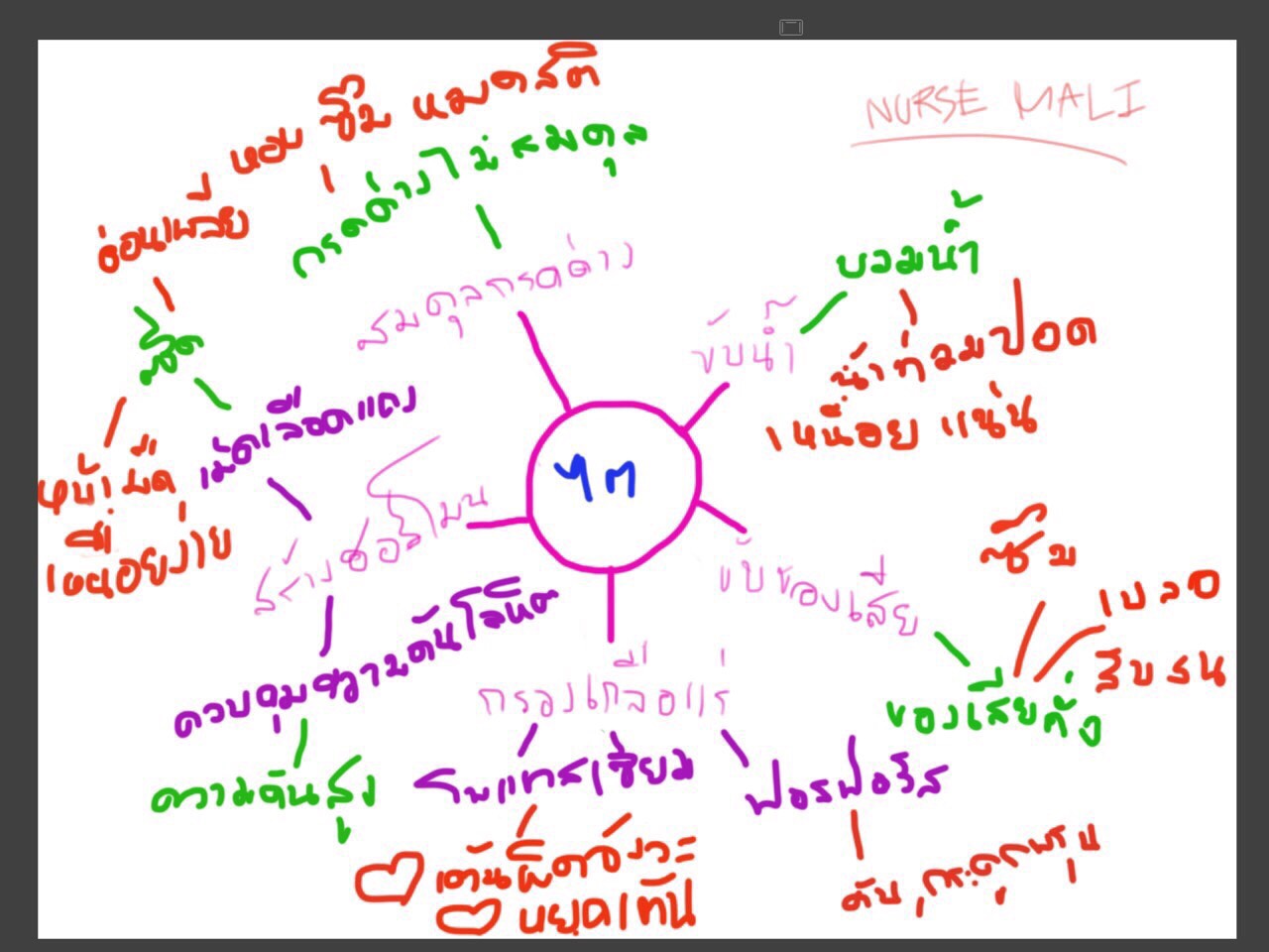 ไตเสื่อม-agel-umi-ทานอะไรได้-ผลไม้-ทานไม่ได้-โรคไต-หายได้-รักษา-ฟอกไต