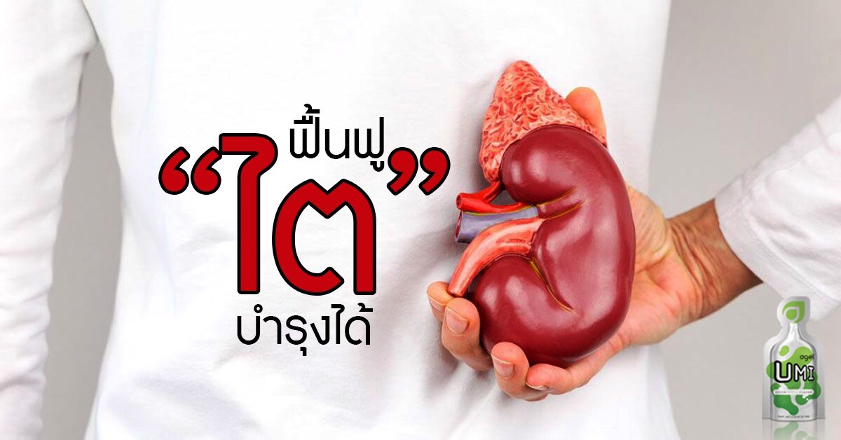 ไตเสื่อม-agel-umi-ทานอะไรได้-ผลไม้-ทานไม่ได้-โรคไต-หายได้-รักษา-ฟอกไต