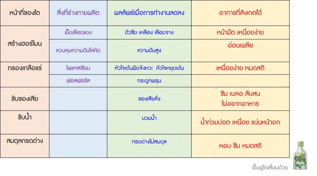 อาการโรคไต-ไตเสื่อม-umi-agel-อาหารเสริม-บำรุงไต-สารบำบัด-อาหารบำรุงไต