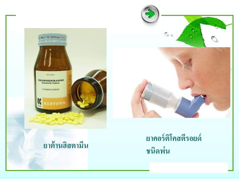 agel-apply-สมัคร-สมาชิก-ซื้อเอง-ทำไง-apply-agel-umi-hrt-min-exo-grn-see-credit-card-ซื้อ-เอเจล-ตัดบัตร-ราคาสมาชิก-จากบริษัท-ไทย-ภูมิแพ้-เพิ่มภูมิ-ภูมิสมดุล-ภูมิต้านทาน-ไม่อยาก-ทานยา-แพ้ง่าย-เด็ก-ไซนัส-หอบ-หืด-หายใจไม่ออก-สารอาหาร-อาหารเสริม-อะไรดี